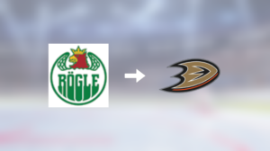 Anaheim Ducks värvar målvakten Calle Clang från Rögle BK