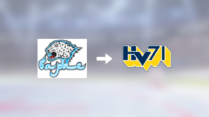 HV71 värvar backen Eric Martinsson från Barys Nur-Sultan