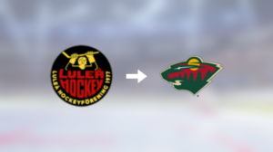 Förre Luleå-spelaren klar för spel i Minnesota Wild