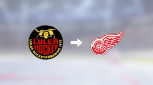 Detroit Red Wings värvar – forwarden Pontus Andreasson klar för spel