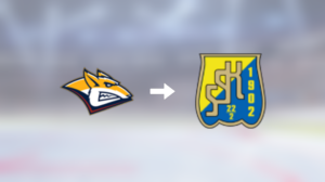 Tidigare Metallurg Magnitogorsk-spelaren klar för spel i Sverige