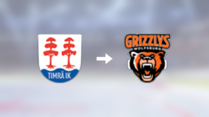 Förre Timrå-spelaren klar för spel i Grizzlys Wolfsburg