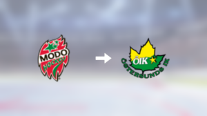 Östersunds IK värvar forwarden Jeremias Lindewall från MoDo Hockey