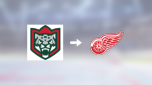 Steven Kampfer klar för spel i Detroit Red Wings