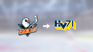 Förre San Diego Gulls-spelaren får ny klubbadress: Spel i Sverige