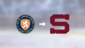 Tjeckiske Michael Krutil är nu klar för spel i HC Sparta Praha