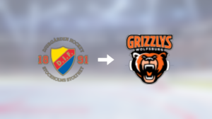 Förre Djurgården-spelaren klar för spel i Grizzlys Wolfsburg