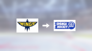 Förre Wings-spelaren klar för spel i Spånga IS