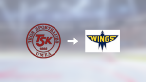 Wings HC värvar – forwarden Tim Friberg klar för spel