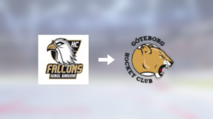 Förre HC Falcons Karvina-spelaren klar för spel i Göteborg HC