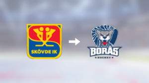 Förre Skövde-spelaren klar för spel i Borås HC