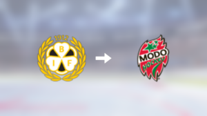 MoDo Hockey värvar forwarden Adam Pettersson från Brynäs IF