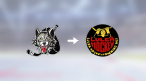 Förre Chicago Wolves-spelaren får ny klubbadress: Spel i Sverige