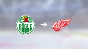 Detroit Red Wings värvar – forwarden Marco Kasper klar för spel