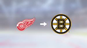 Boston Bruins värvar backen Dan Renouf från Detroit Red Wings