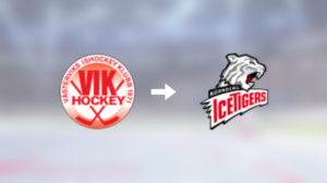 Backen Luke Green är nu klar för spel i Nürnberg Ice Tigers