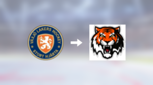 Amur Khabarovsk värvar forwarden Andrew Calof från Växjö Lakers HC