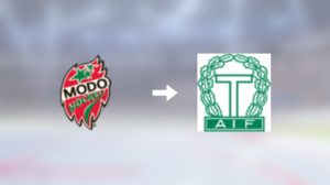 Förre MoDo Hockey-spelaren klar för spel i Tingsryds AIF