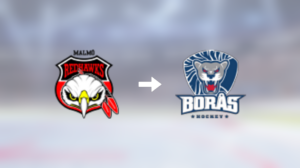 Borås HC värvar forwarden Erik Andersson från Malmö Redhawks J20