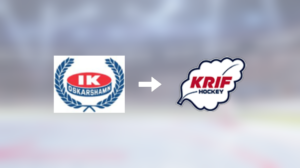 KRIF Hockey värvar – forwarden Douglas Andersson klar för spel