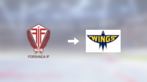 Förre Forshaga-spelaren klar för spel i Wings HC