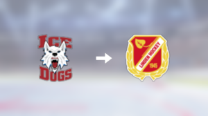 Tidigare Fairbanks Ice Dogs-spelaren klar för spel i Sverige