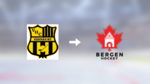 Bergen värvar forwarden Adrian Wingerli från Vännäs HC