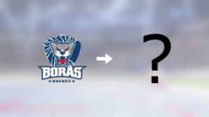 Borås HC tappar forwarden Marcus von der Geest