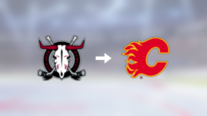 Calgary Flames ger backen Christoffer Sedoff en try-out