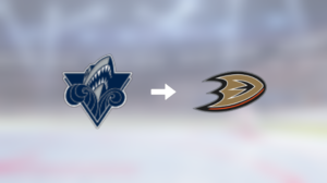 Anaheim Ducks värvar backen Charles Côté från Rimouski Océanic