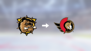 Förre Hamilton Bulldogs-spelaren klar för spel i Ottawa Senators