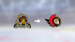 Backen Zachary Massicotte är nu klar för spel i Ottawa Senators