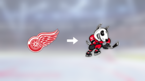 Tidigare Detroit Red Wings-spelaren klar för spel i Kanada