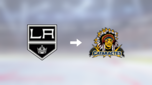 Förre Los Angeles Kings-spelaren får ny klubbadress: Spel i Kanada