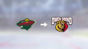 Owen Sound Attack värvar slovakiske Servác Petrovský från Minnesota Wild