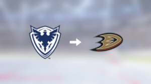 Förre Sherbrooke Phoenix-spelaren klar för spel i Anaheim Ducks