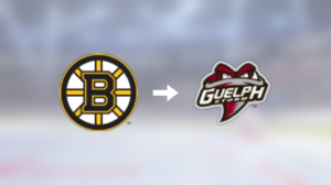 Guelph Storm värvar forwarden Matthew Poitras från Boston Bruins