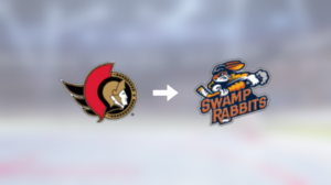 Målvakten Michael McNiven är nu klar för spel i Greenville Swamp Rabbits