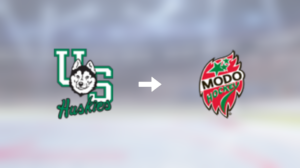 Förre University of Saskatchewan-spelaren klar för spel i MoDo Hockey