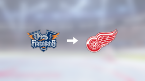 Detroit Red Wings värvar forwarden Amadeus Lombardi från Flint Firebirds