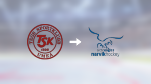 Narvik Hockey värvar forwarden Oscar Frestadius från Tegs SK