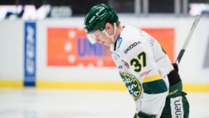 Björklöven finalförlorade mot finska ligaåttan