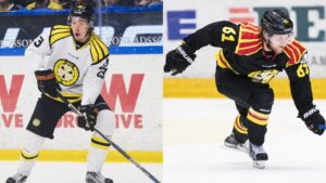 Efter finalförlusten – Brynäs förlänger med två till