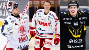 HockeyAllsvenskan i siffror – de har varit bäst