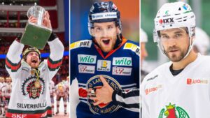 LISTA: Importerna som spelar i SHL kommande säsong