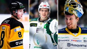 LISTA: Juniorerna med SHL-kontrakt nästa säsong