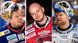 De gör upp om titeln Årets målvakt i SHL