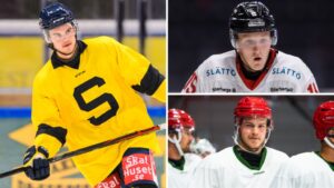 Uppgifter: Sportcheferna vill stoppa NHL-lånen