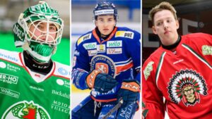 LISTA: Alla juniorer i Hockeyallsvenskan nästa säsong