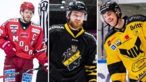 LISTA: Alla klubblösa spelare i Hockeyallsvenskan